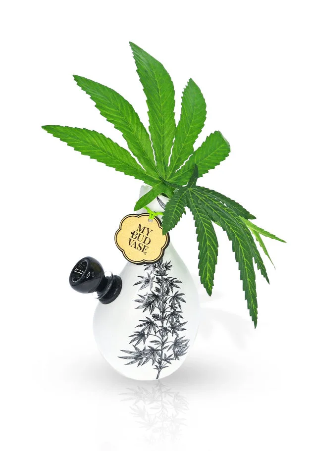 My Bud Vase Love Bud Vase Bong