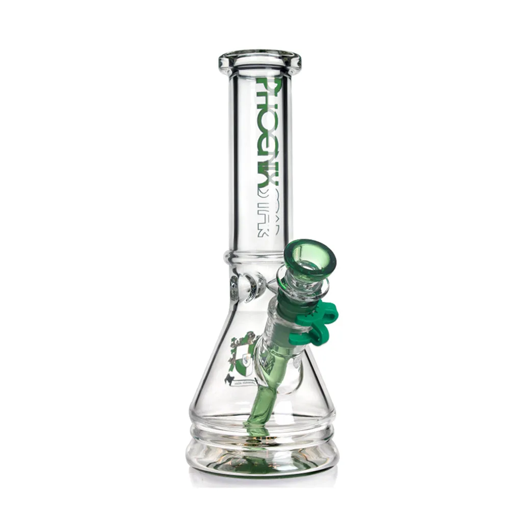 PHOENIX STAR new design beaker bong 10 inches female-14mm